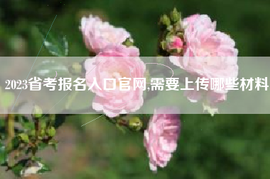 2023省考报名入口官网,需要上传哪些材料