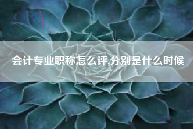 会计专业职称怎么评,分别是什么时候