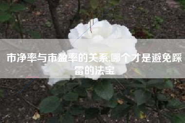 市净率与市盈率的关系,哪个才是避免踩雷的法宝