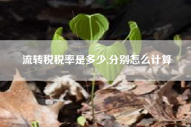 详细阅读:流转税税率是多少,分别怎么计算 流转税税率是多少,分别怎么计算