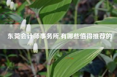 详细阅读:东莞会计师事务所,有哪些值得推荐的 东莞会计师事务所,有哪些值得推荐的