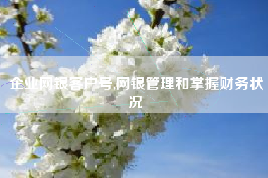 详细阅读:企业网银客户号,网银管理和掌握财务状况 企业网银客户号,网银管理和掌握财务状况