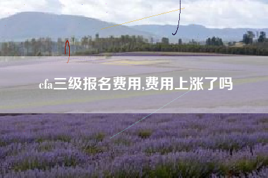cfa三级报名费用,费用上涨了吗