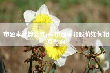 市盈率计算公式ttm,市盈率和股价如何相互影响