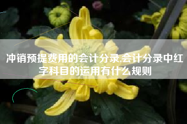 冲销预提费用的会计分录,会计分录中红字科目的运用有什么规则