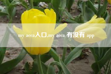 my acca入口,my acca 有没有 app