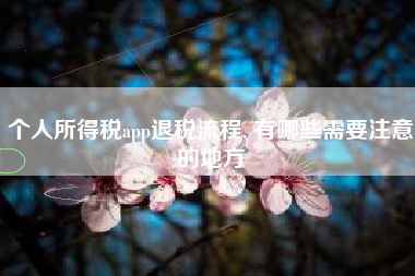 个人所得税app退税流程, 有哪些需要注意的地方