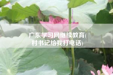 广东学习网继续教育(
村书记给我打电话)