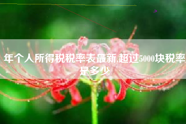 年个人所得税税率表最新,超过5000块税率是多少