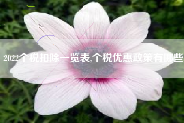 2022个税扣除一览表,个税优惠政策有哪些