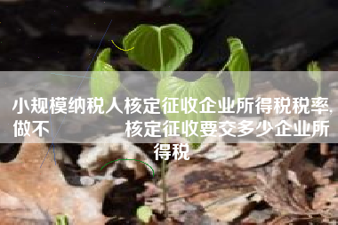 小规模纳税人核定征收企业所得税税率,做不來帳選擇核定征收要交多少企业所得税