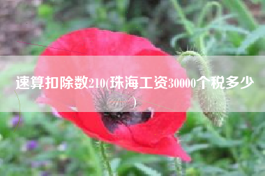 速算扣除数210(珠海工资30000个税多少
)