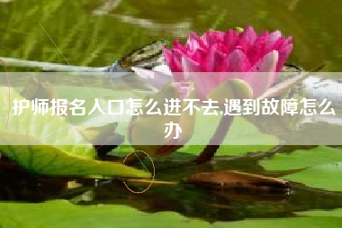 护师报名入口怎么进不去,遇到故障怎么办