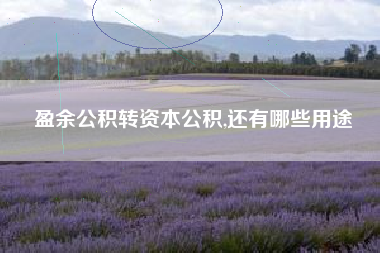 详细阅读:盈余公积转资本公积,还有哪些用途 盈余公积转资本公积,还有哪些用途