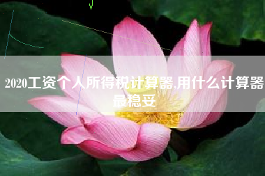 详细阅读:2020工资个人所得税计算器,用什么计算器最稳妥 2020工资个人所得税计算器,用什么计算器最稳妥