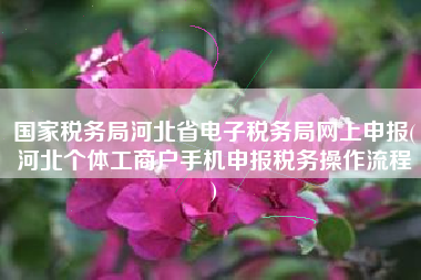 国家税务局河北省电子税务局网上申报(河北个体工商户手机申报税务操作流程
)