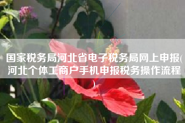 国家税务局河北省电子税务局网上申报(河北个体工商户手机申报税务操作流程
)