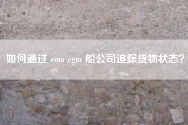 如何通过 cma cgm 船公司追踪货物状态？