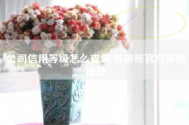 公司信用等级怎么查询,有哪些官方渠道推荐
