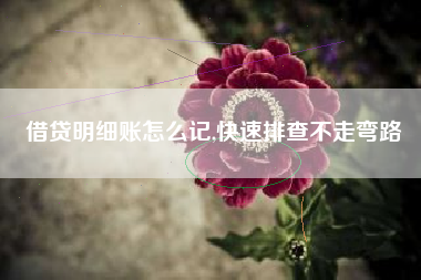 借贷明细账怎么记,快速排查不走弯路