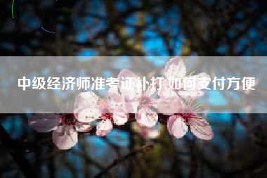 中级经济师准考证补打,如何支付方便