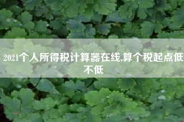 2021个人所得税计算器在线,算个税起点低不低