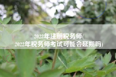 2022年注册税务师(
2022年税务师考试可能会延期吗)