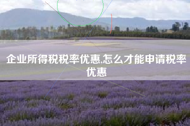 企业所得税税率优惠,怎么才能申请税率优惠