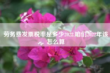 劳务费发票税率是多少2022,咱们2022年该怎么算