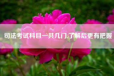 司法考试科目一共几门,了解后更有把握