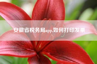 安徽省税务局app,如何打印发票