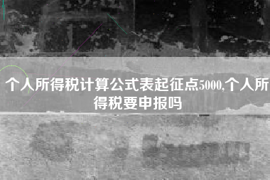 个人所得税计算公式表起征点5000,个人所得税要申报吗