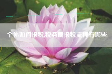 个体如何报税,税务局报税流程有哪些