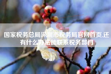 国家税务总局深圳市税务局官网首页,还有什么办法能联系税务部门