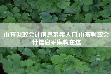 山东财政会计信息采集入口,山东财政会计信息采集就在这