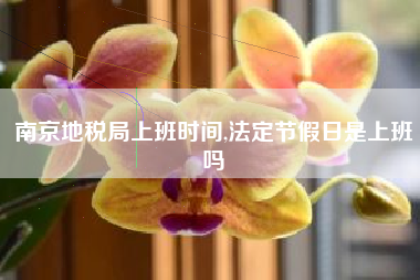 南京地税局上班时间,法定节假日是上班吗