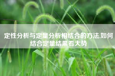 定性分析与定量分析相结合的方法,如何结合定量结果看大势
