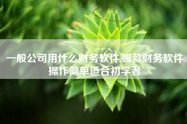 一般公司用什么财务软件,哪款财务软件操作简单适合初学者