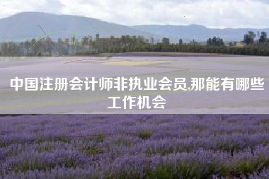 中国注册会计师非执业会员,那能有哪些工作机会