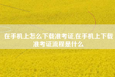 在手机上怎么下载准考证,在手机上下载准考证流程是什么