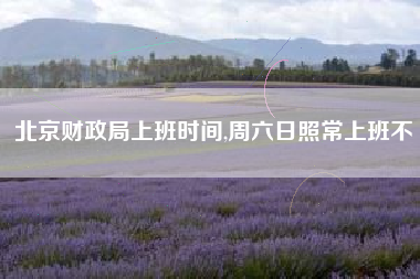 北京财政局上班时间,周六日照常上班不