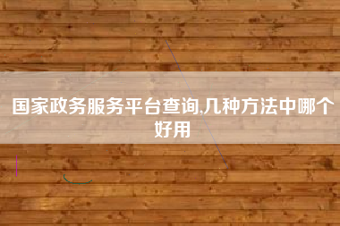 国家政务服务平台查询,几种方法中哪个好用