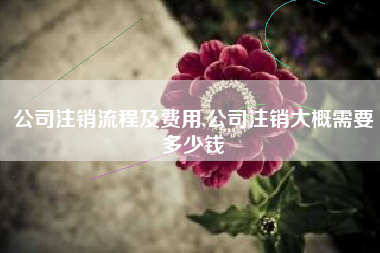 公司注销流程及费用,公司注销大概需要多少钱