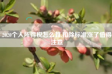 2020个人所得税怎么算,扣除标准涨了值得注意