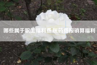 哪些属于职工福利费,医药费报销算福利