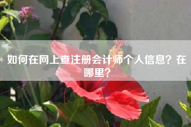 如何在网上查注册会计师个人信息？在哪里？