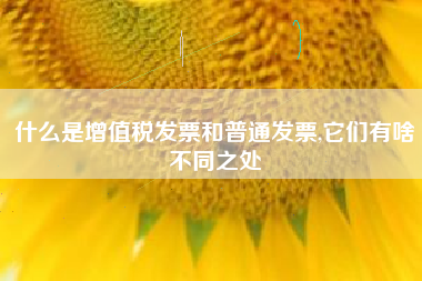 什么是增值税发票和普通发票,它们有啥不同之处