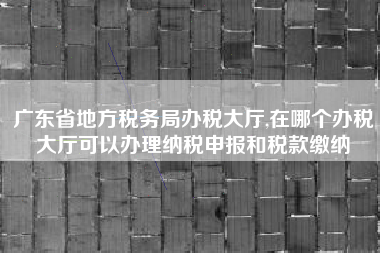 广东省地方税务局办税大厅,在哪个办税大厅可以办理纳税申报和税款缴纳