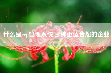 什么是erp管理系统,哪种更适合您的企业