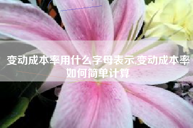 变动成本率用什么字母表示,变动成本率如何简单计算